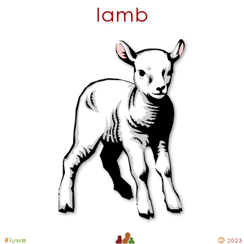 w01193_01 lamb