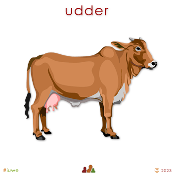 z32582_01 udder