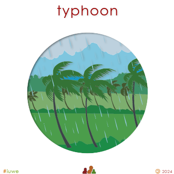 w19334_01 typhoon