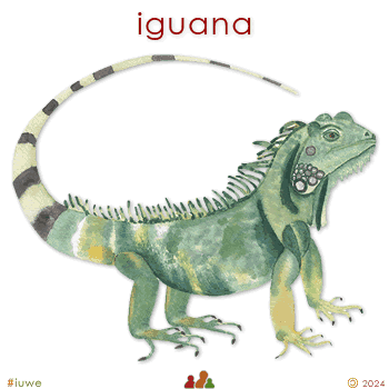 w33963_01 iguana