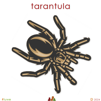 w18876_01 tarantula