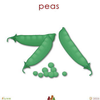 w00971_01 peas