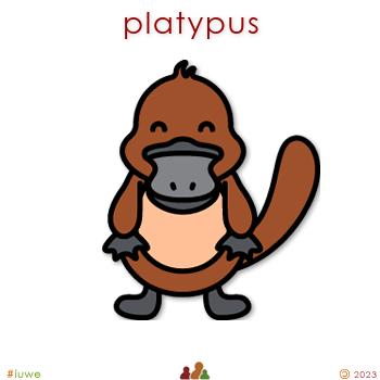 w33604_01 platypus