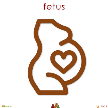 w31824_01 fetus