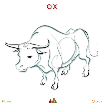 w00433_02 ox