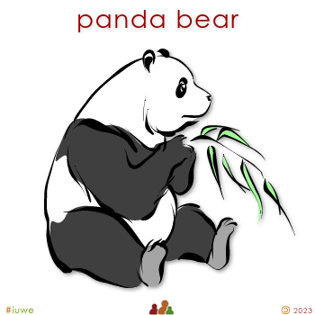 w00456_01 panda bear