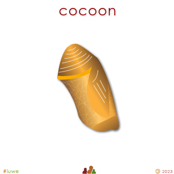 w03242_01 cocoon