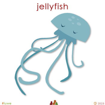 w00470_01 jellyfish