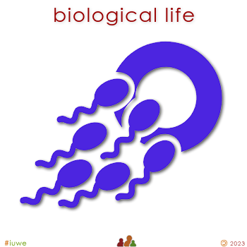 w00965_01 biological life