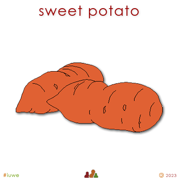 w00936_01 sweet potato
