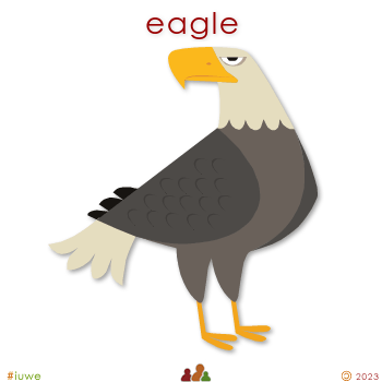 w00337_01 eagle