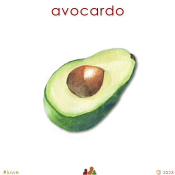 w11195_01 avocardo