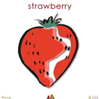 w01764_01 strawberry