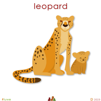 w00522_01 leopard