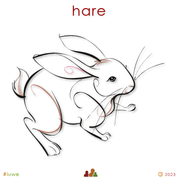 w00322_01 hare