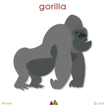 w00396_01 gorilla