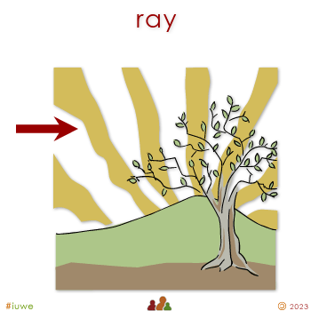 w30205_01 ray