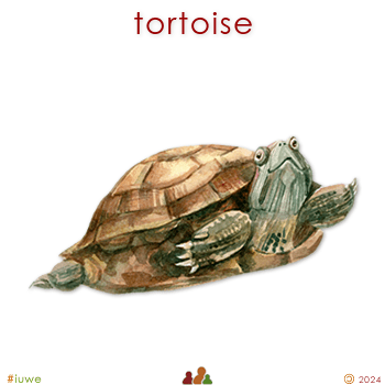 w33968_01 tortoise