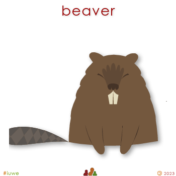 w00489_01 beaver