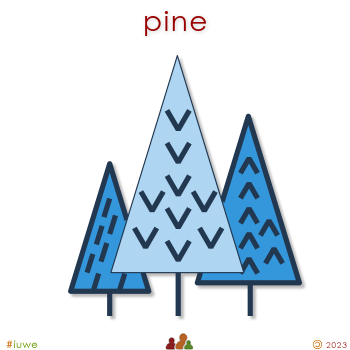 w31127_01 pine