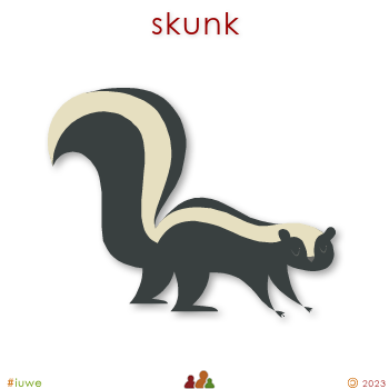 w00500_01 skunk