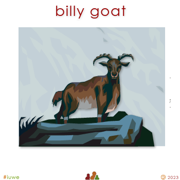 w00482_01 billy goat