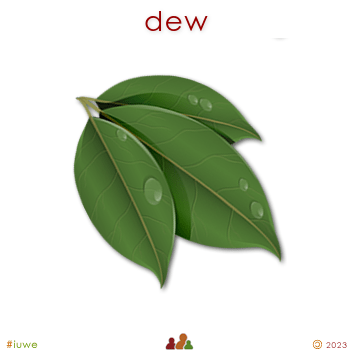 w02692_02 dew