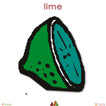 w01431_01 lime