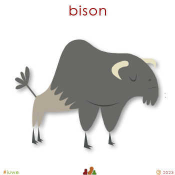 w00473_01 bison