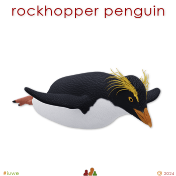 w33969_01 rockhopper penguin