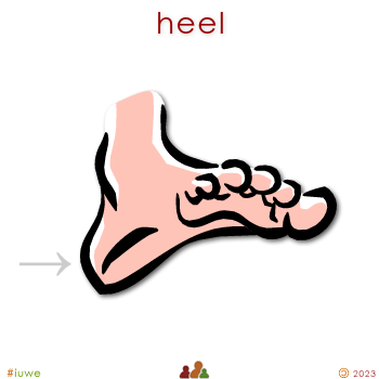 w01513_01 heel