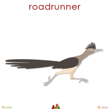 w17836_01 roadrunner