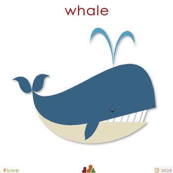 w00554_01 whale