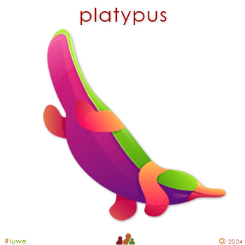 w33604_01 platypus