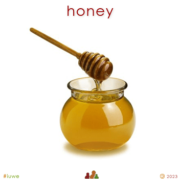 w02647_01 honey