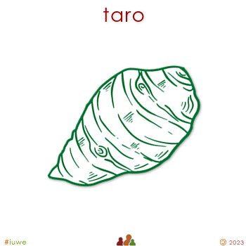 w31344_01 taro