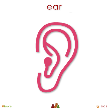 w00539_01 ear