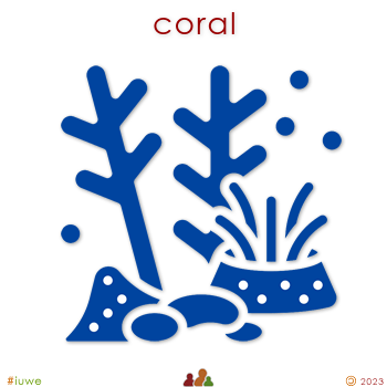 w31693_01 coral