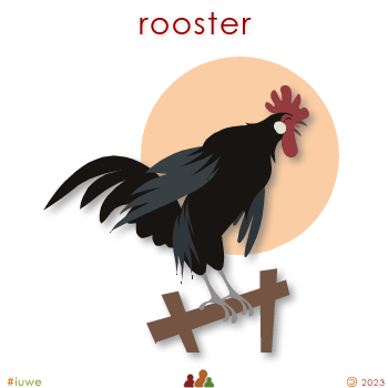 w00476_01 rooster