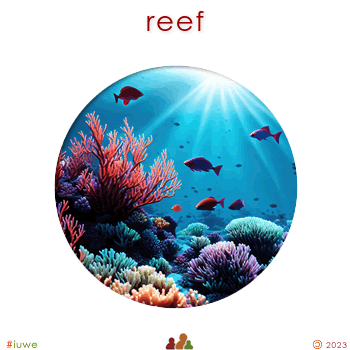 w31192_01 reef