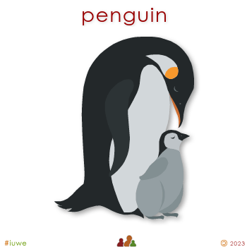 w00332_01 penguin