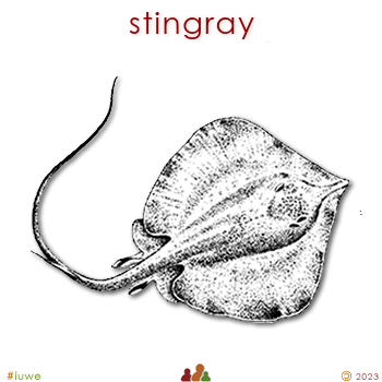 w01691_01 stingray