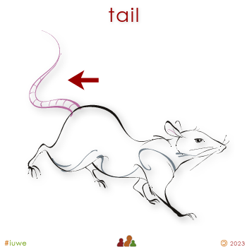 w02871_01 tail
