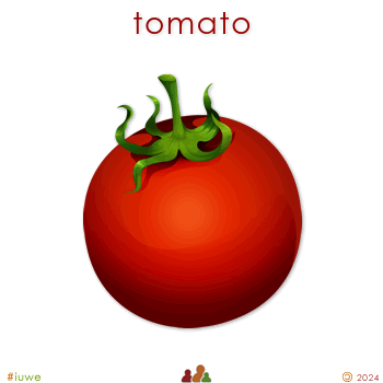 y19089_01 tomato