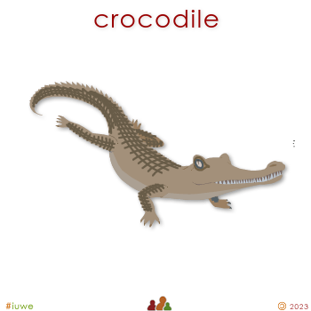 w00360_01 crocodile