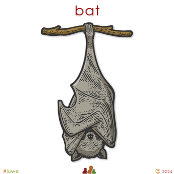 w00460_01 bat