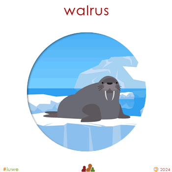 z19581_01 walrus