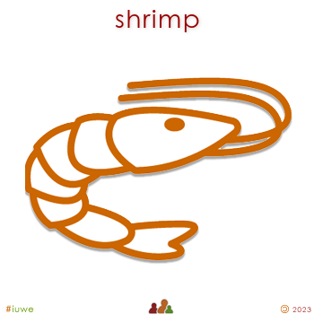 w01697_02 shrimp