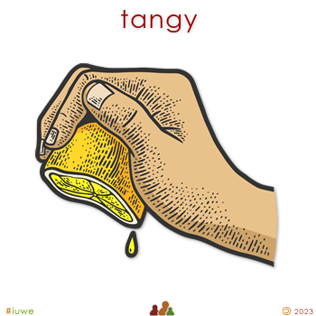 z32504_01 tangy