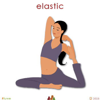 w02918_01 elastic